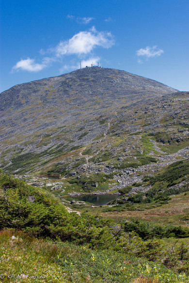 Mount Washington alpine zone / © K.P. McFarland