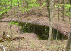 vernal-pool-ascutney