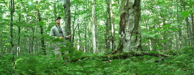 nps-landbird-monitoring-banner