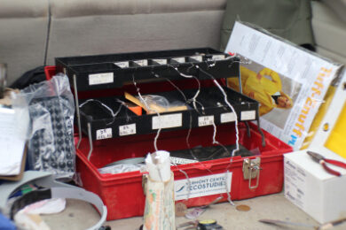 vce-banding-kit-mans-zcw