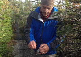 Steve Faccio removing a Bicknell's Thrush from a mist net for banding. / K.P. McFarland