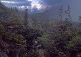 Field Report: Final 2014 Bird Banding on Mt. Mansfield