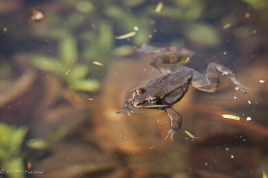 13958410765_b707b1aa5a_z