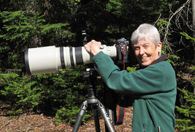 VCE Presents the 2018 Julie Nicholson Citizen Scientist Award