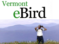 The 2018 Vermont eBird County Quest Awards
