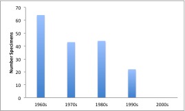 The number of Rusty-patched Bumble Bees found by University of Vermont entomology students each decade.