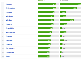 Vermont eBird County Quest Heats Up