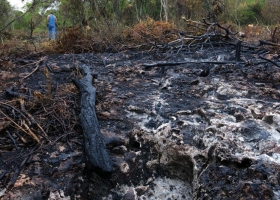 The Persistent Tragedy of Sierra de Bahoruco: The Case of Las Mercedes