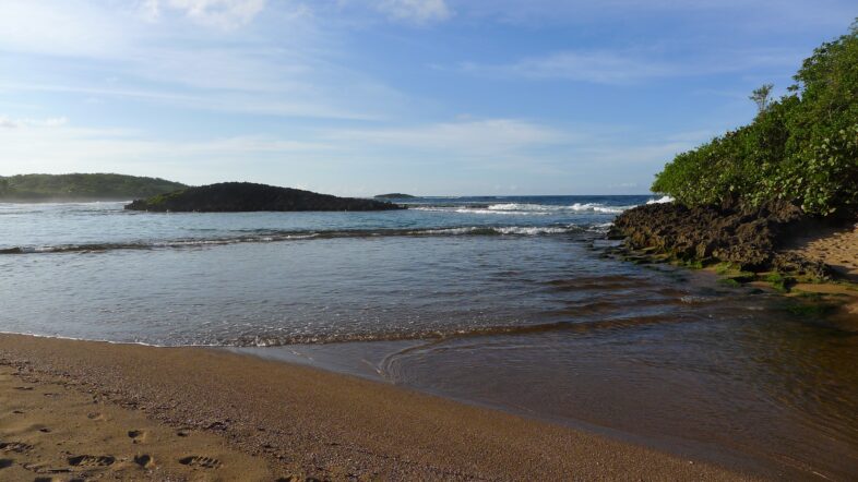 Pristine beach at outflow to mangrove lagoons, Hacienda La Esperanza, Puerto Rico. / Will Schmidt