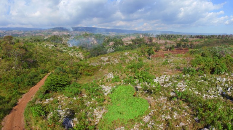 Click to see all the images in this article. 