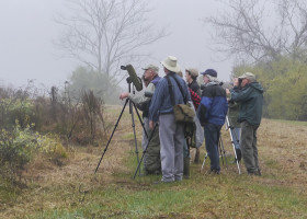 Make Vermont eBird your New Year’s Resolution for 2016