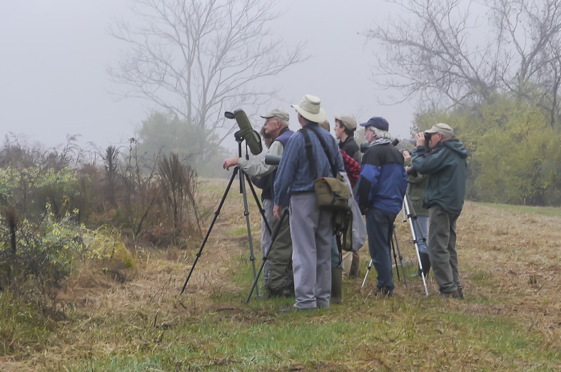 Birders at Lake Runnemede last fall. / © Cindy Crawford