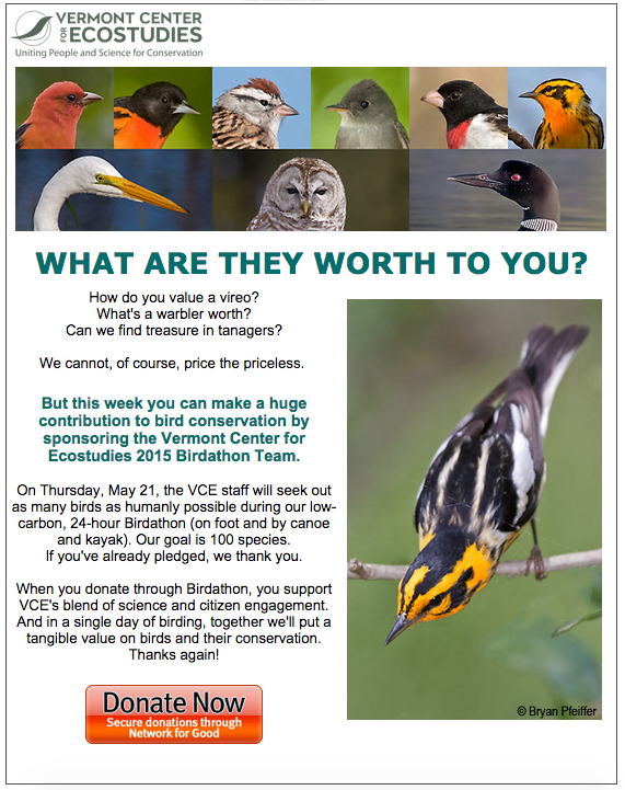 birdathon 2015