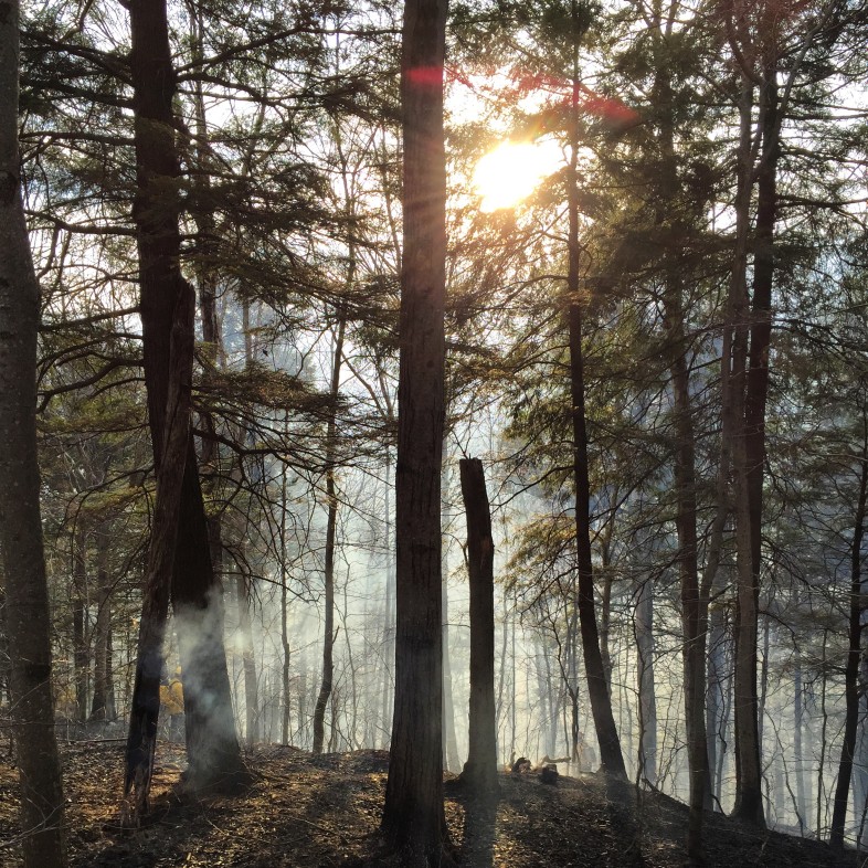 Smoke for a quick moving spring forest fire filters the setting sun. / © K.P. McFarland