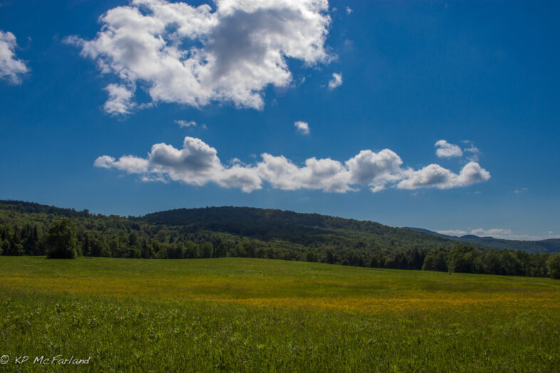 An ideal summer day in the Green Mountains. /© K.P. McFarland