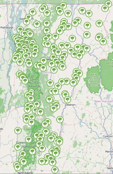 Today, there are over 67,000 acres of forestland owned by 168 municipalities, all open to the public to enjoy - find a town forest near you.