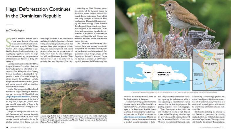 LivingBird-DR article