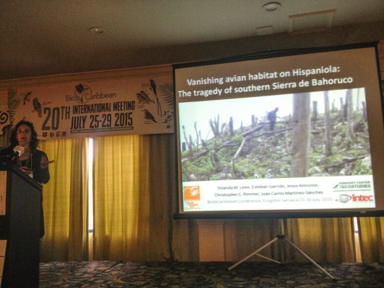 Yoli BC talk Jamaica