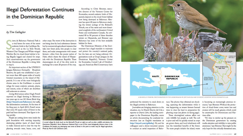 LivingBird-DR article