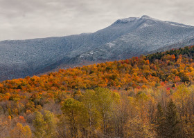 Outdoor Radio: The Phenology Of Fall