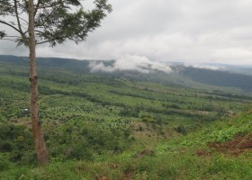 A tentative first step towards saving Sierra de Bahoruco