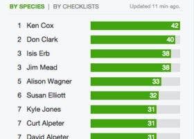 Top 10 observers in Vermont during the 2016 GBBC.