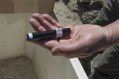 A acoustic tag is turned on and tested before it is inserted in the fish. It will last for up to 10 years, allowing the biologists to follow the fish and learn where and what they need throughout the years. © K.P. McFarland