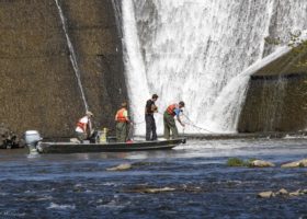 Outdoor Radio: The Future Of Vermont's Lake Sturgeon
