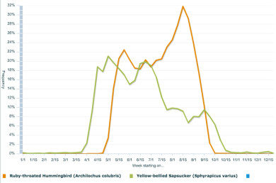 Annual phenology of Ruby-throated Hummingbird and Yellow-bellied Sapsucker from birdwatchers reporting observations to Vermont eBird. Hummingbirds arrive shortly after sapsuckers and take advantage of their sap wells. 