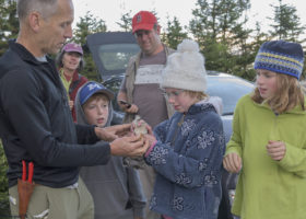 Mansfield Update: Hardy Survivors and a Site-faithful Sharpie