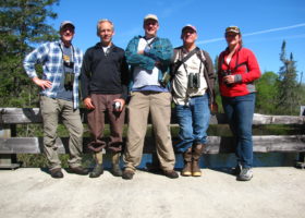 Across the Kingdom, VCE Birdathon a Boreal Success