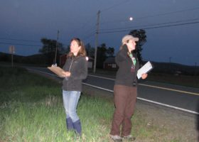 VCE Seeks Volunteers for Eastern Whip-poor-will Surveys