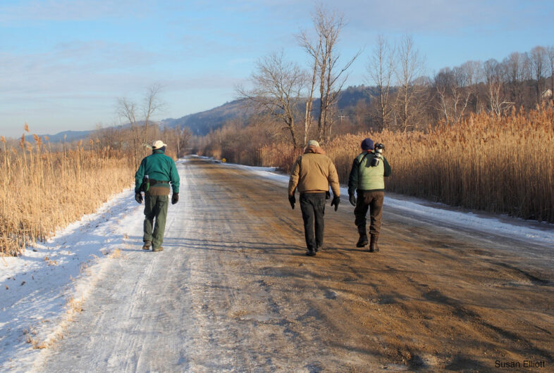A cold day of birding at West Rutland Marsh. 