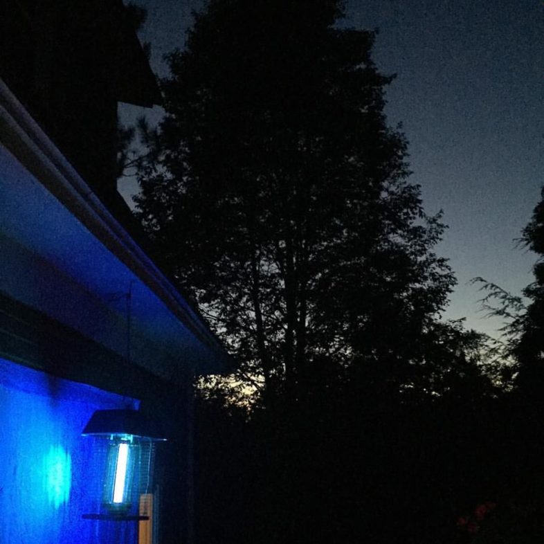 It's National Moth Week. Here in Vermont we've discovered nearly 100 new species for the state just by mothing in our backyards for the Vermont Atlas of LIfe. For five bucks at a garage sale and the snip of a wire, this bug zapper was changed into my backyard moth light. 