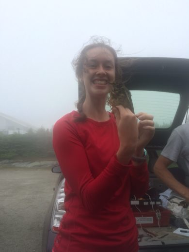Amber Wolf holding a baby robin. Her first banded bird!