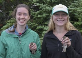 Seasonal Changes in Evidence on Mt. Mansfield