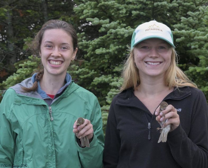 Amber & Grace Mansfield