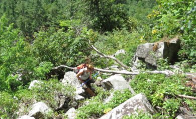 Kerry Monahan searches talus slope for rattlesnakes.