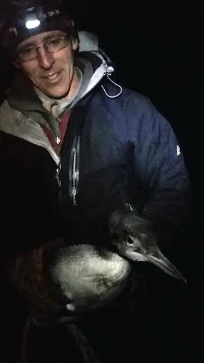 Eric Hanson holding a loon chick who landed on a pond too small fo fly from. Photo by Angella Apicelli