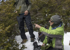 VCE Director of Science Named Elective Member of American Ornithological Society