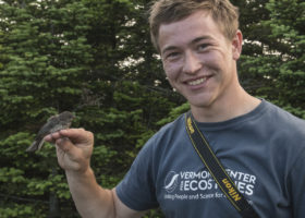 Memories of a Summer Bird Banding on Mt. Mansfield