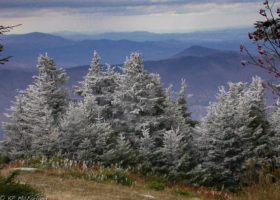 A Field Guide to October 2017