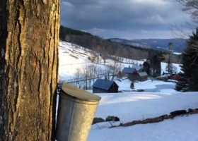 A Field Guide to March 2019