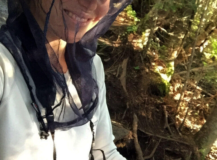 Congratulations on adopting a route! Now prepare for your high-elevation adventure.