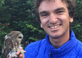 Mansfield Reflection: A Bird in the Hand Instills a Conservation Ethic