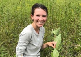 Mission Monarch Nearly Nixed by Missing Milkweed