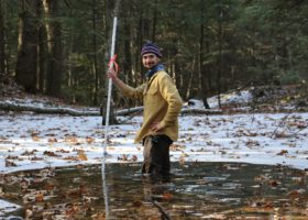 Vernal Pools Through the Year