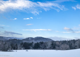 Field Guide to January 2019