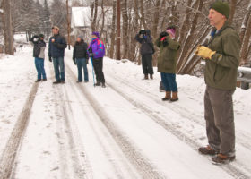 2019: Norwich Year of the Bird
