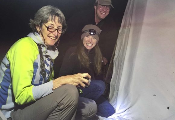 8653, , OR-moth-crew_KPMcFarland_580x400_acf_cropped, JoAnne Russo, Sara Zahendra and Kent McFarland backyard moth watching. , , image/jpeg, https://media.vtecostudies.org/wp-content/uploads/2019/06/08201303/OR-moth-crew_KPMcFarland_580x400_acf_cropped.jpg, 580, 400, Array, Array 